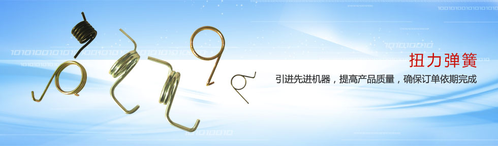 ��������ʢ�������޹�˾