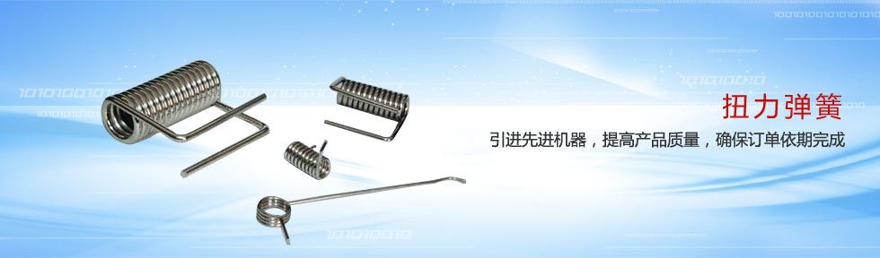 ��������ʢ�������޹�˾